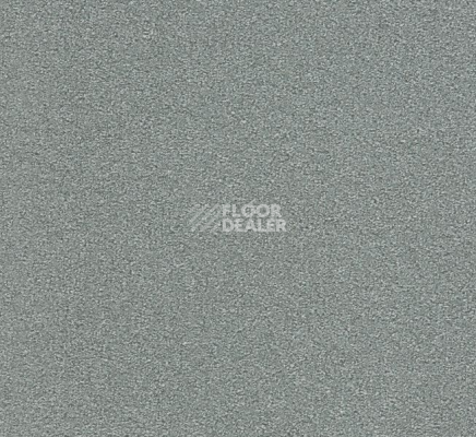 Ковровая плитка Interface Heuga 725 672502 Platin фото 1 | FLOORDEALER